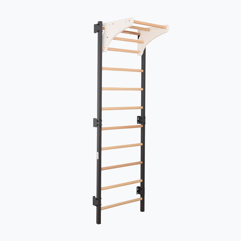 Gymnastics ladder RINAGYM Steel Kom 2 graphit/white 4