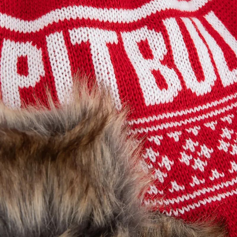 Pitbull West Coast winter beanie Mission Bay red 3