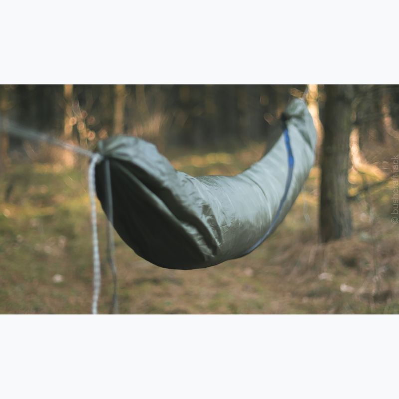 Cover Lesovik Larva mayfly green 4