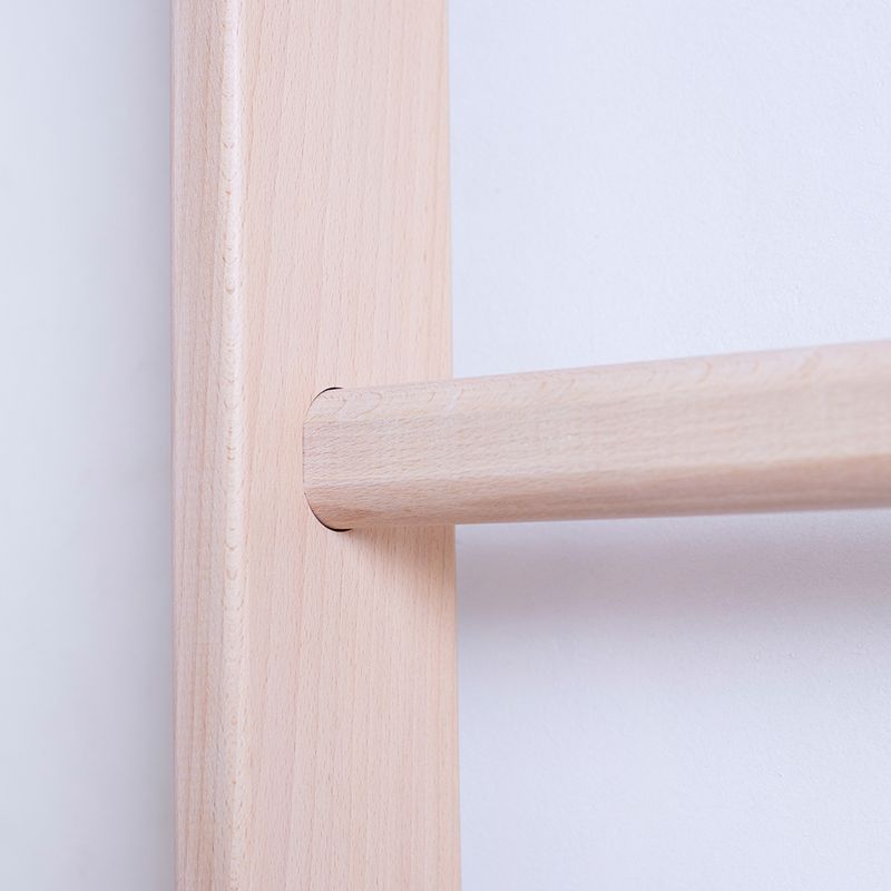 BenchK bronze gymnastic ladder BK-111 4