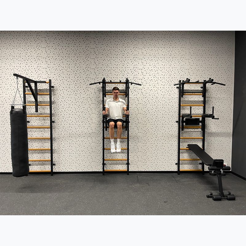 BenchK gymnastics ladder black BK-732B 14