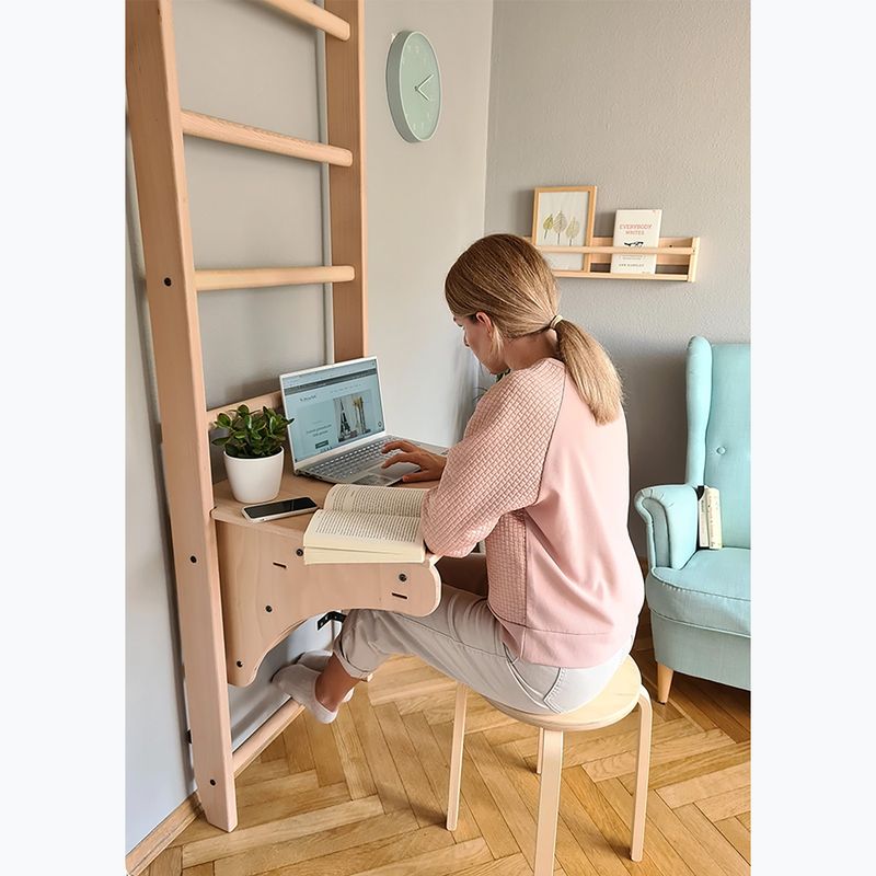 BenchK bronze gymnastic ladder BK-112 8
