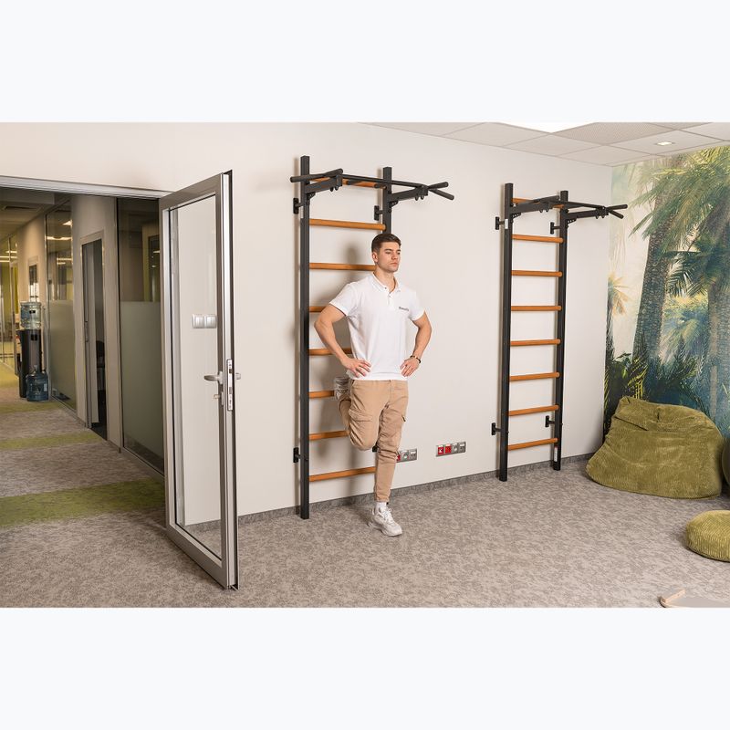 BenchK gymnastics ladder black BK-221B 16