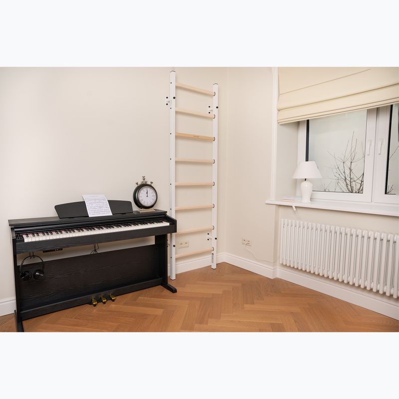 BenchK gymnastics ladder white BK-200W 8