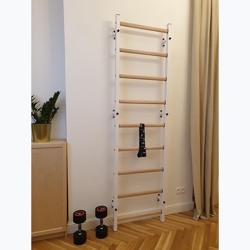 BenchK gymnastics ladder white BK-700W 7