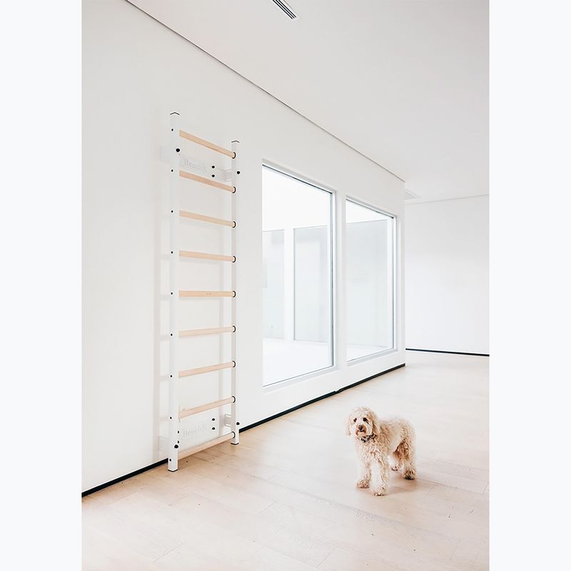 BenchK gymnastics ladder white BK-700W 8