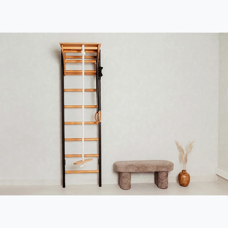 BenchK gymnastics ladder black BK-212B+A076 16