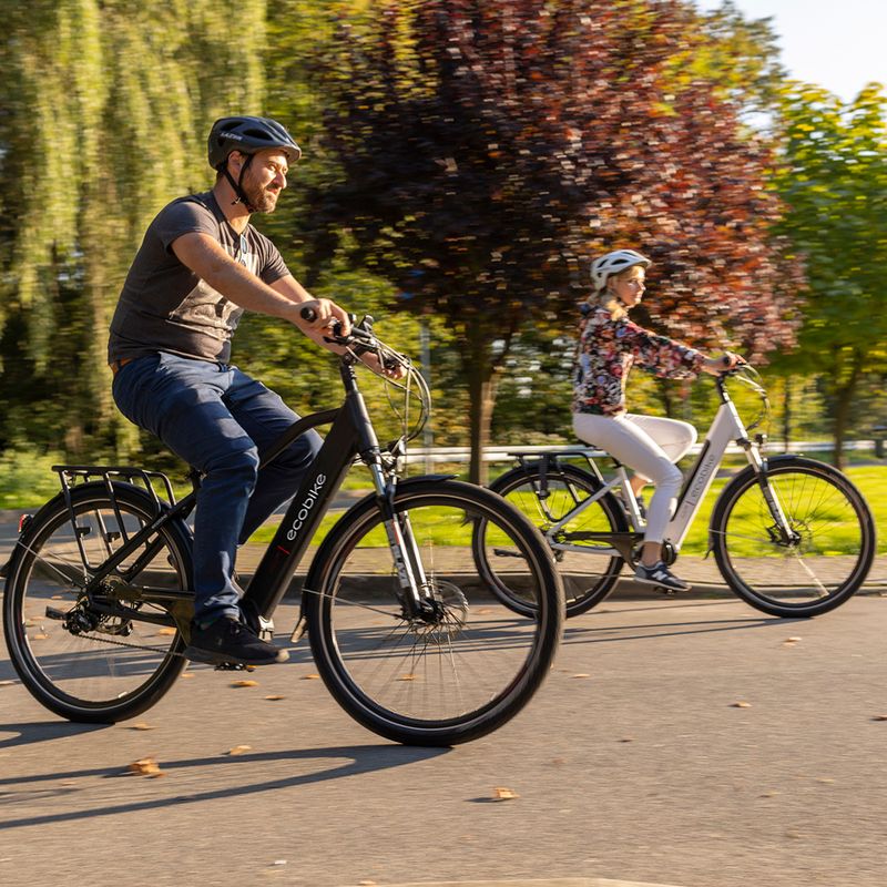 EcoBike MX300 LG electric bike black 1010307 20