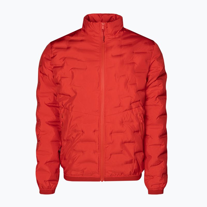 Men's down jacket Pitbull West Coast Overton red