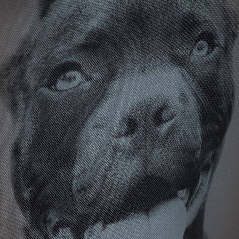 Men's backpack Pitbull West Coast Pitbull Ir black/grey 12