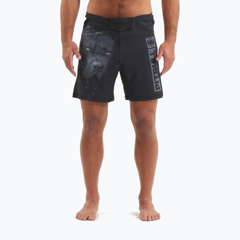 Men's grappling shorts Pitbull West Coast Grappling 3 Born in 1989 black