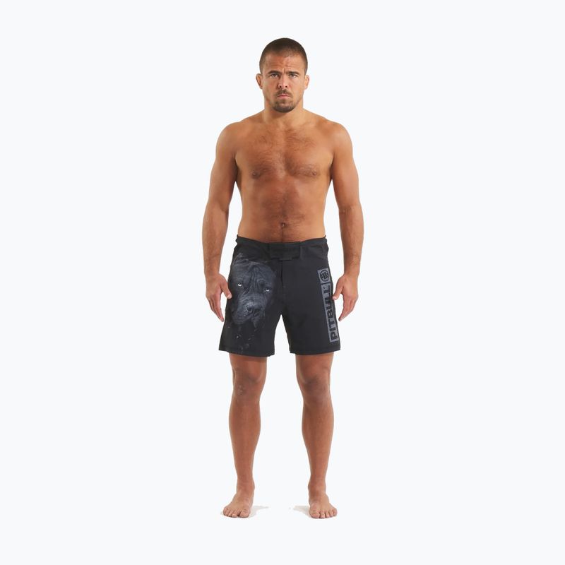 Men's grappling shorts Pitbull West Coast Grappling 3 Born in 1989 black 2