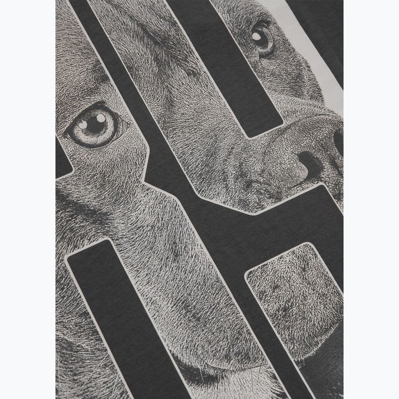 Pitbull Eighty Nine Dog men's t-shirt graphite 12