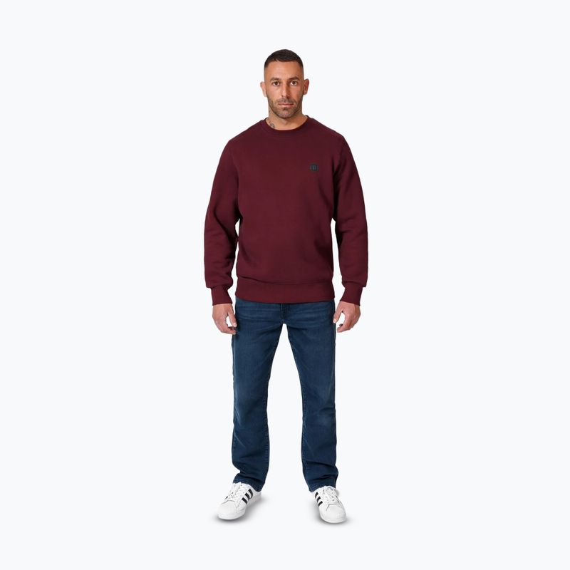 Men's Pitbull Small Logo Crewneck sweatshirt burgundy 2
