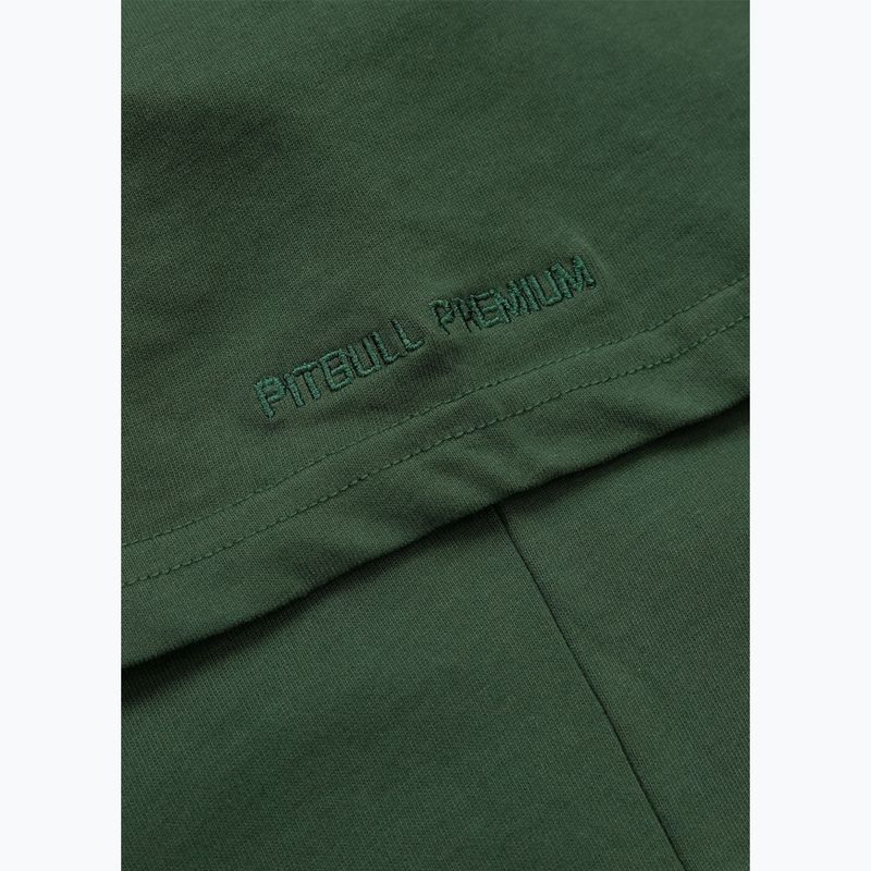 Men's T-shirt Pitbull Scratch green 11