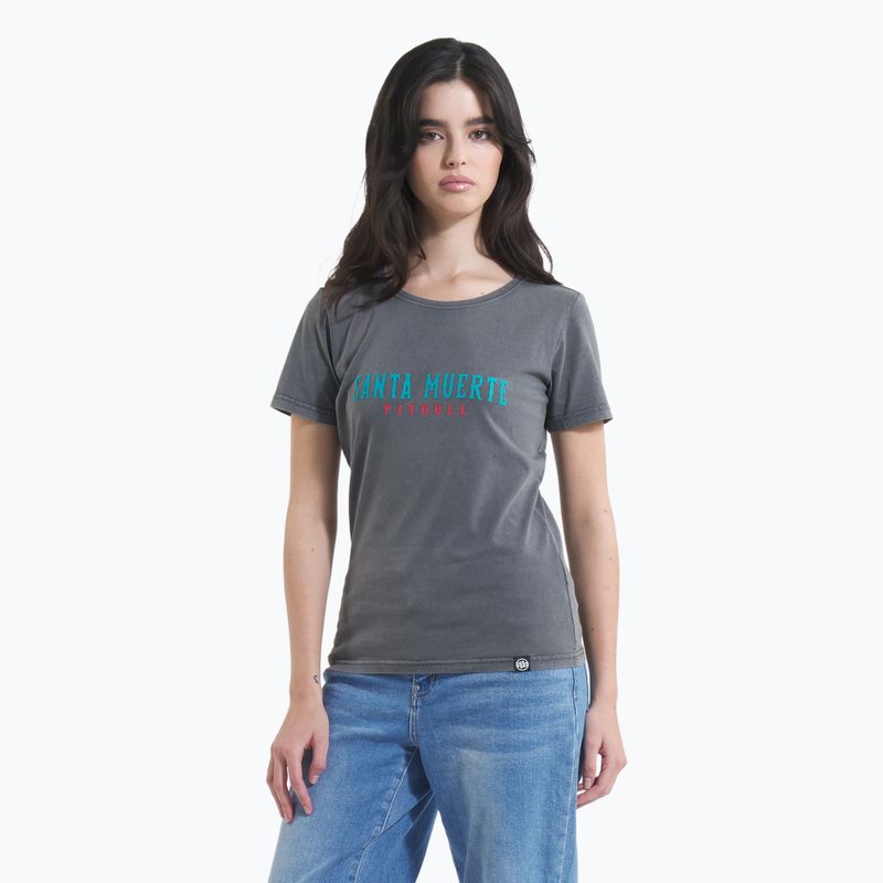 Women's T-shirt Pitbull Santa Muerte 25 graphite