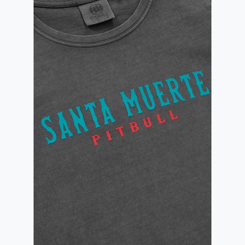 Women's T-shirt Pitbull Santa Muerte 25 graphite 9