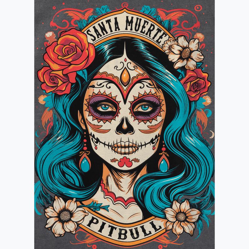 Women's T-shirt Pitbull Santa Muerte 25 graphite 10