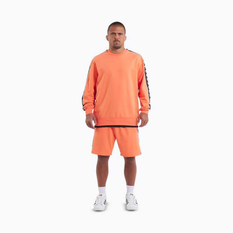 Men's sweatshirt Pitbull Tape Nugget Crewneck Sweatshirt bright salmon 2