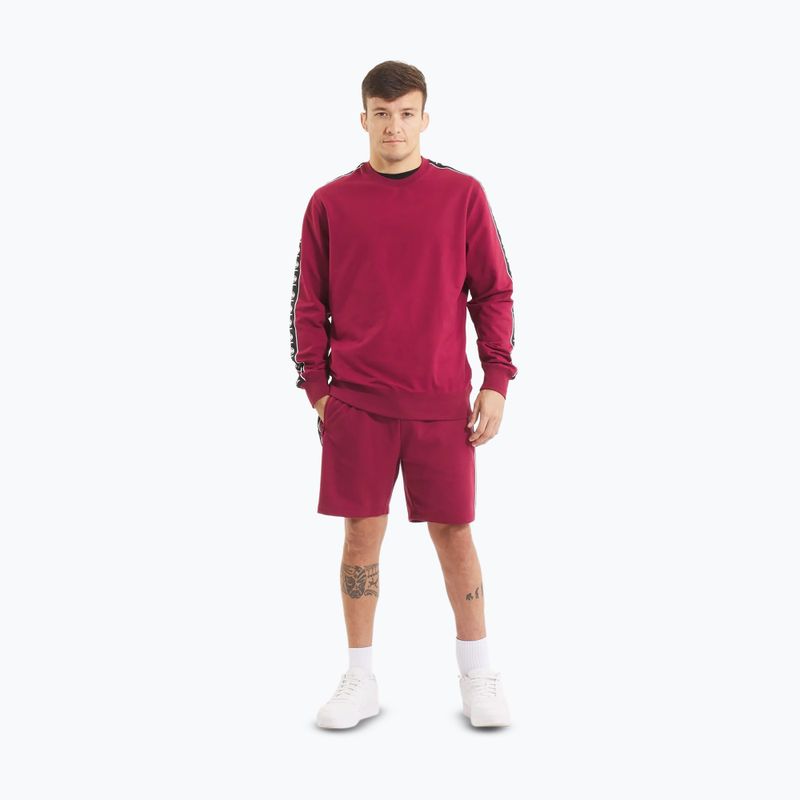 Men's sweatshirt Pitbull Tape Nugget Crewneck Sweatshirt burgundy 2