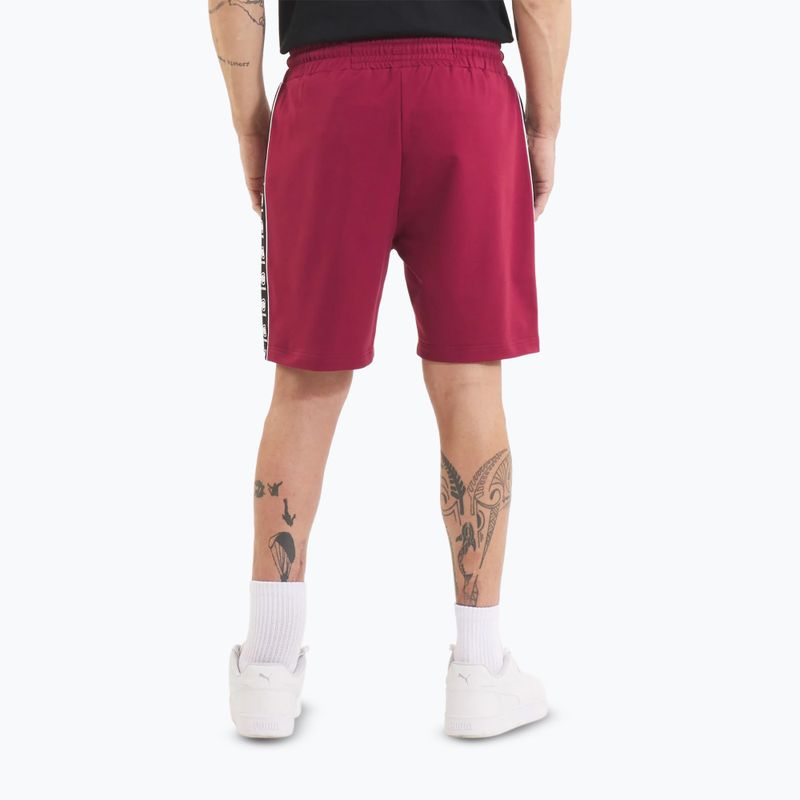 Men's shorts Pitbull Tape Nugget burgundy 3