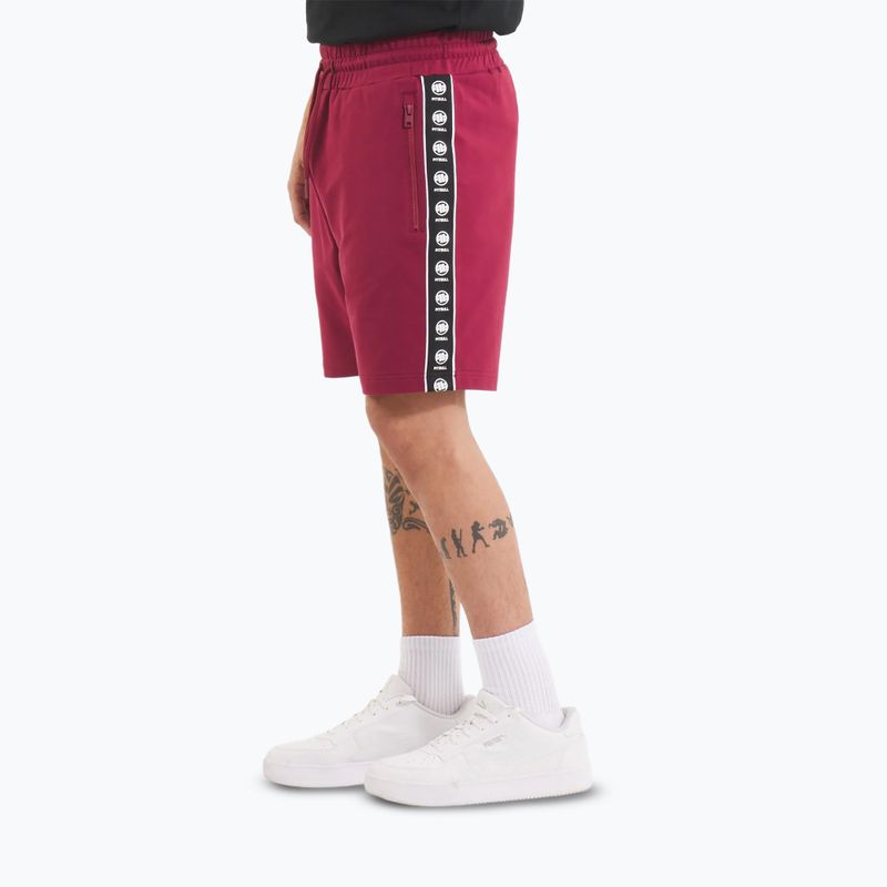 Men's shorts Pitbull Tape Nugget burgundy 4