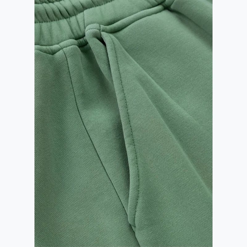 Men's trousers Pitbull Lancaster 2 Track Pants washed green 7