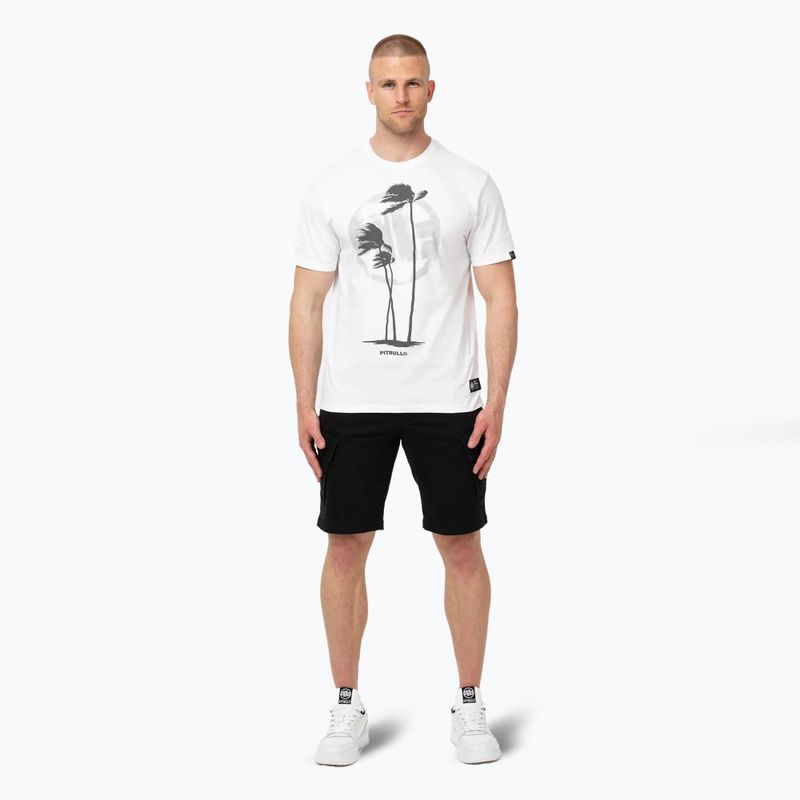 Pitbull Palms men's t-shirt white 2