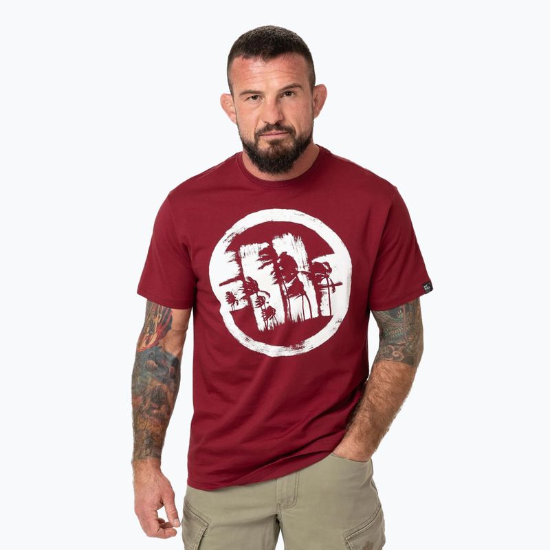 Men's Pitbull Logo Palms t-shirt burgundy
