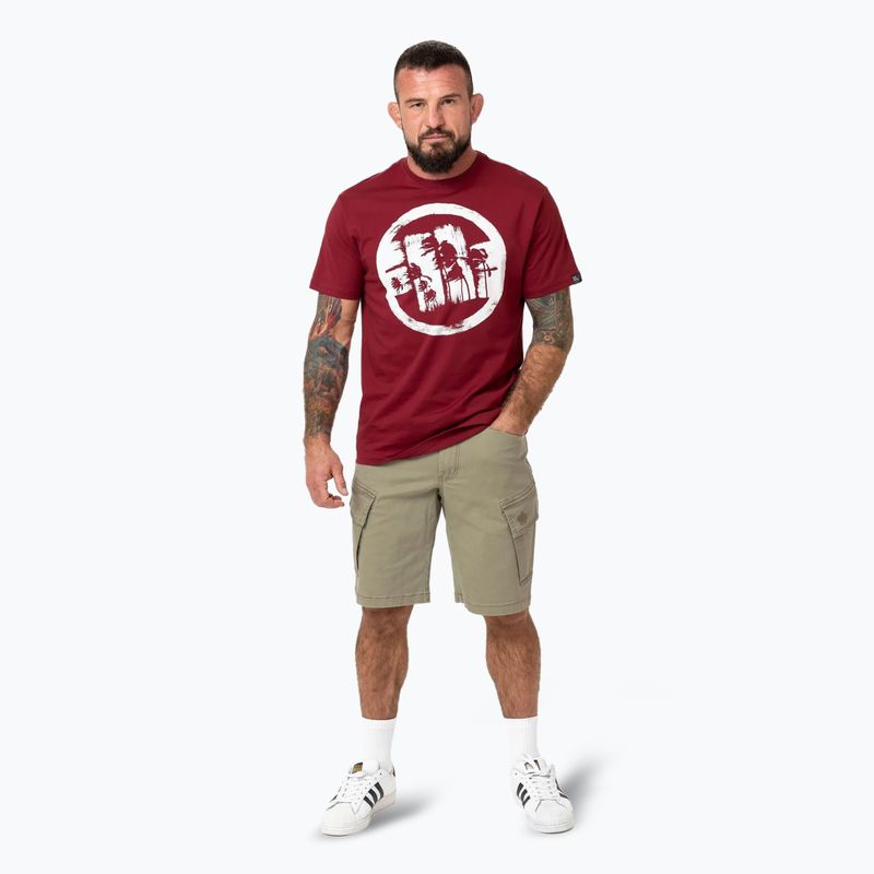 Men's Pitbull Logo Palms t-shirt burgundy 2