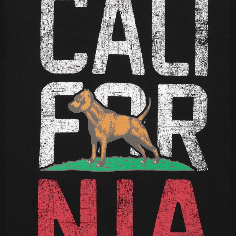 Men's T-shirt Pitbull California black 7