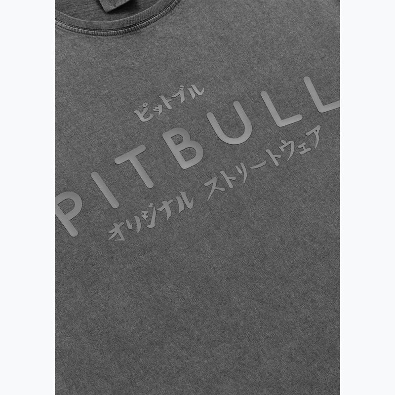 Pitbull Mt. Fuji men's t-shirt washed grey 4