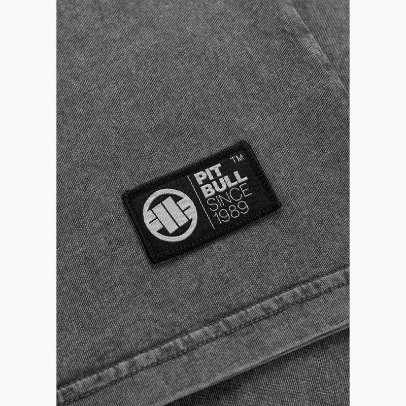 Pitbull Mt. Fuji men's t-shirt washed grey 8