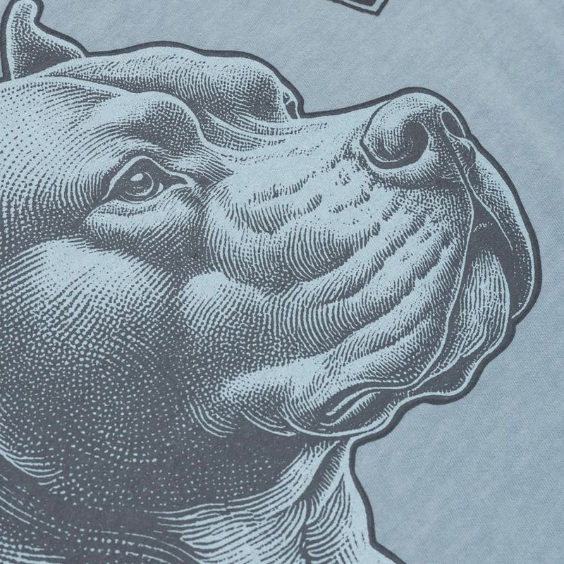 Pitbull men's pacific blue t-shirt 6