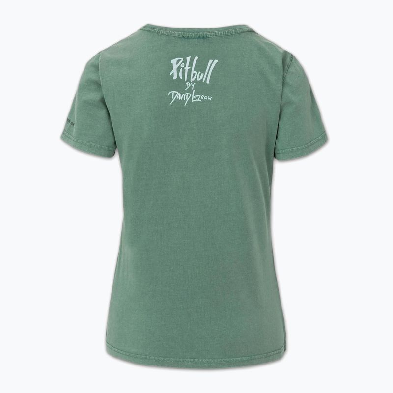 Pitbull Cruisinandboozin women's t-shirt mint 4