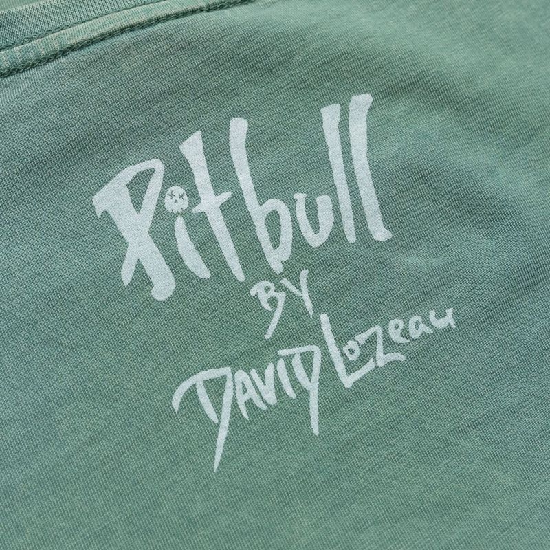 Pitbull Cruisinandboozin women's t-shirt mint 7