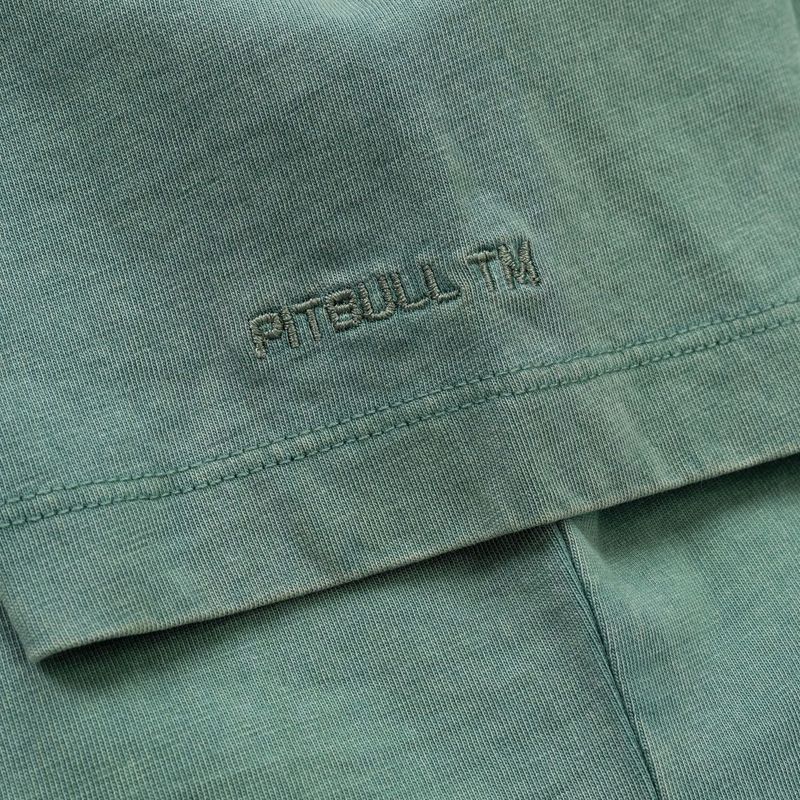 Pitbull Cruisinandboozin women's t-shirt mint 8