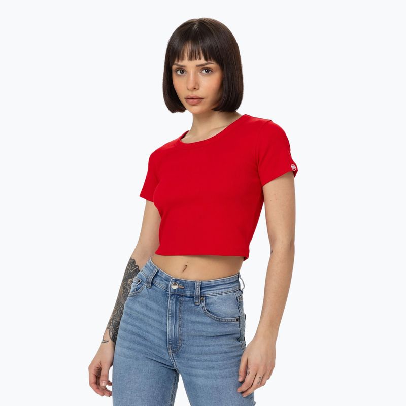 Pitbull Cropped red women's t-shirt 4