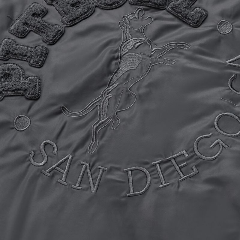 Men's jacket Pitbull Hacket Washed Bomber graphite 5