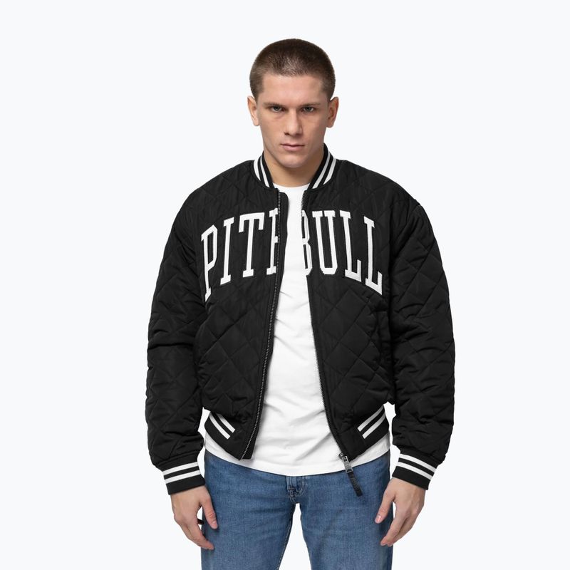 Men's jacket Pitbull Jupiter Padded Baseball black 3