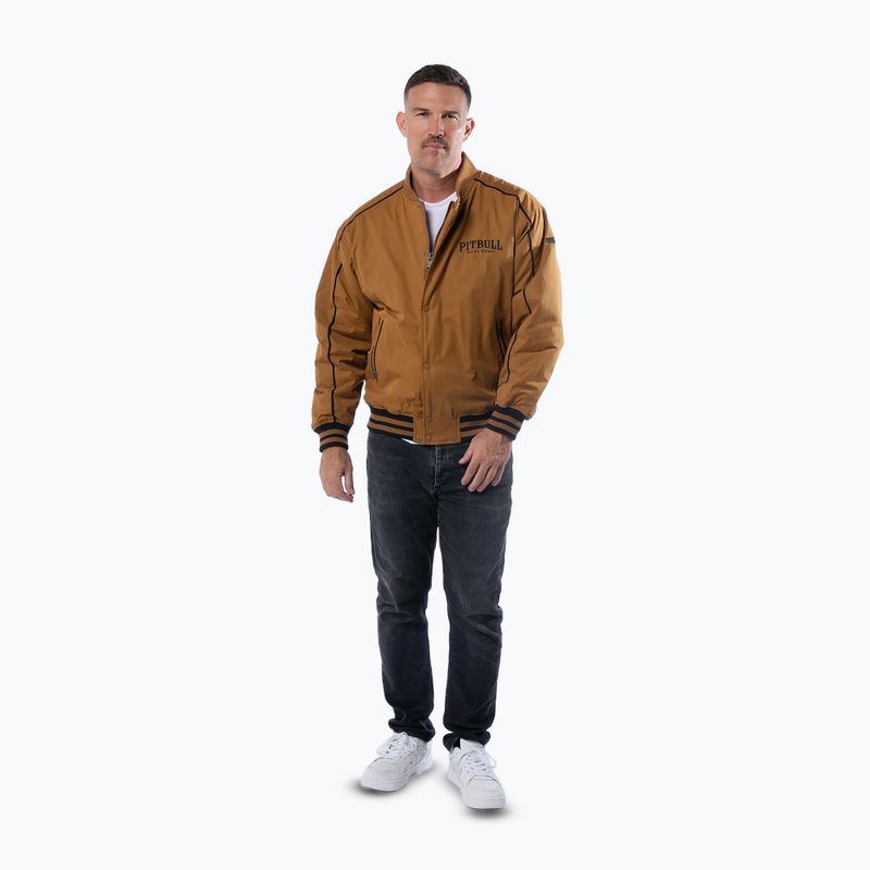 Men's jacket Pitbull Radford Baseball honey yellow 2