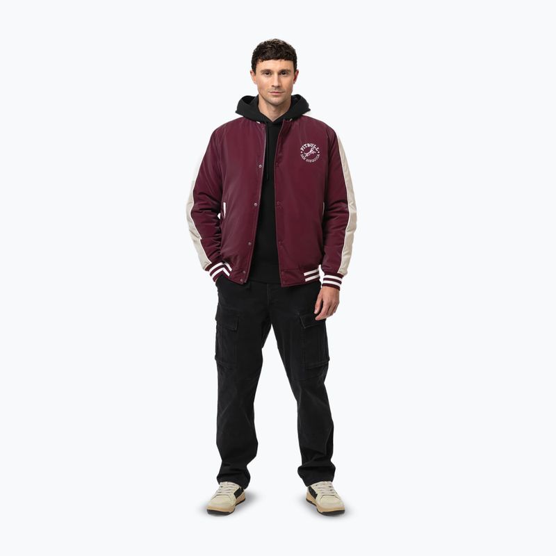 Men's jacket Pitbull Manolito Baseball burgundy 2