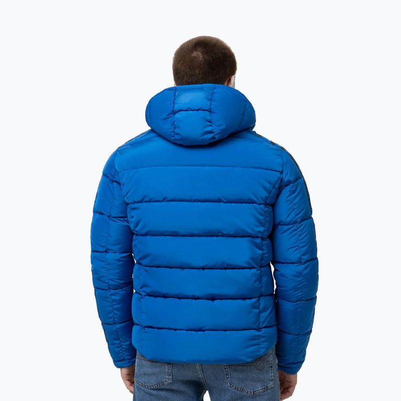Men's winter jacket Pitbull Airway 4 Padded Hooded royal blue 3