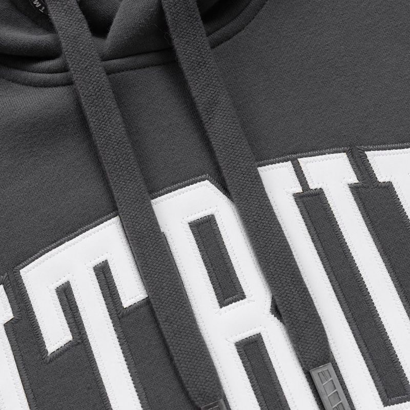 Men's sweatshirt Pitbull Norton Hooded graphite 6