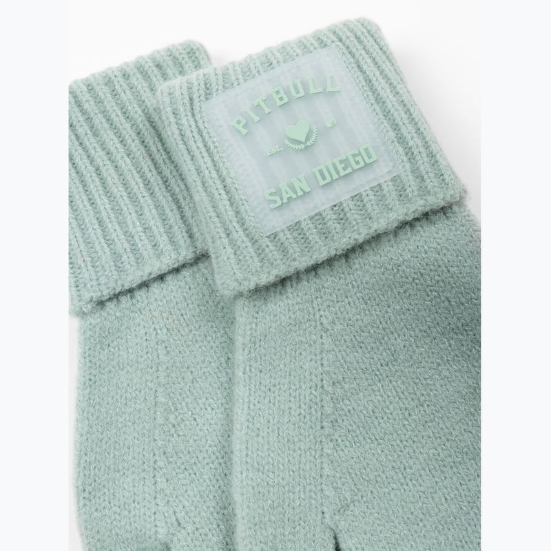 Gloves Pitbull Love PB light mint 2