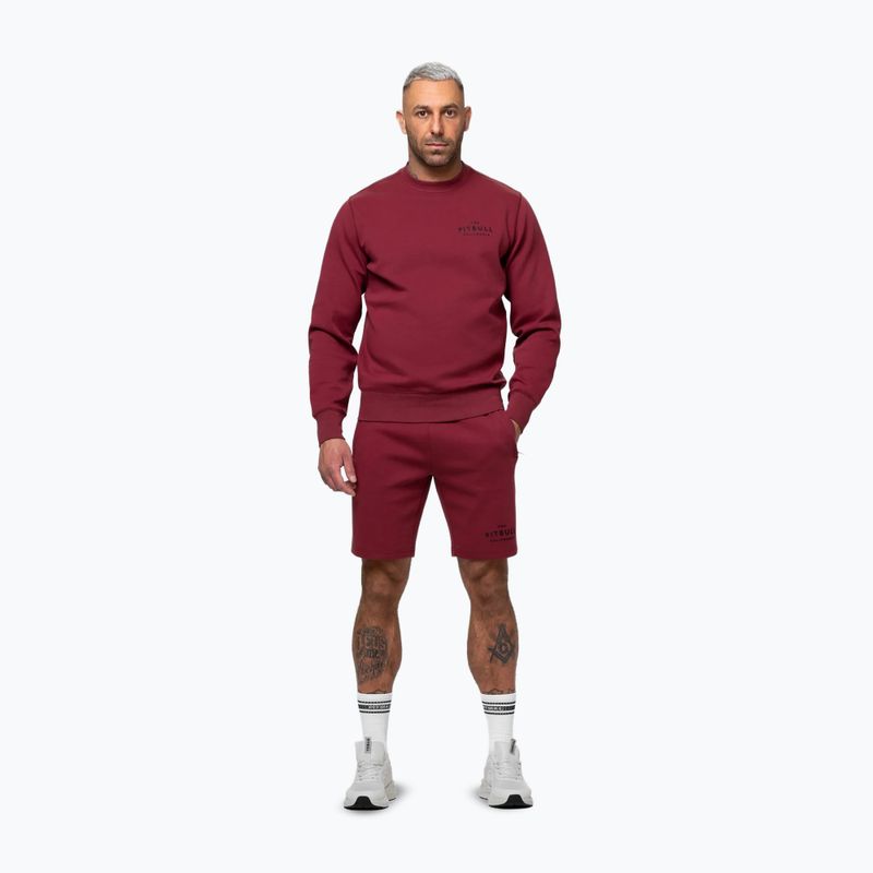 Men's sweatshirt Pitbull Sampson Crewneck Sweatshirt burgundy 2