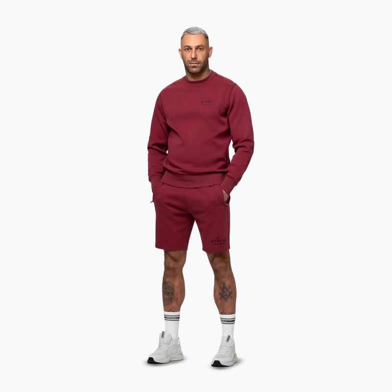 Men's sweatshirt Pitbull Sampson Crewneck Sweatshirt burgundy 4