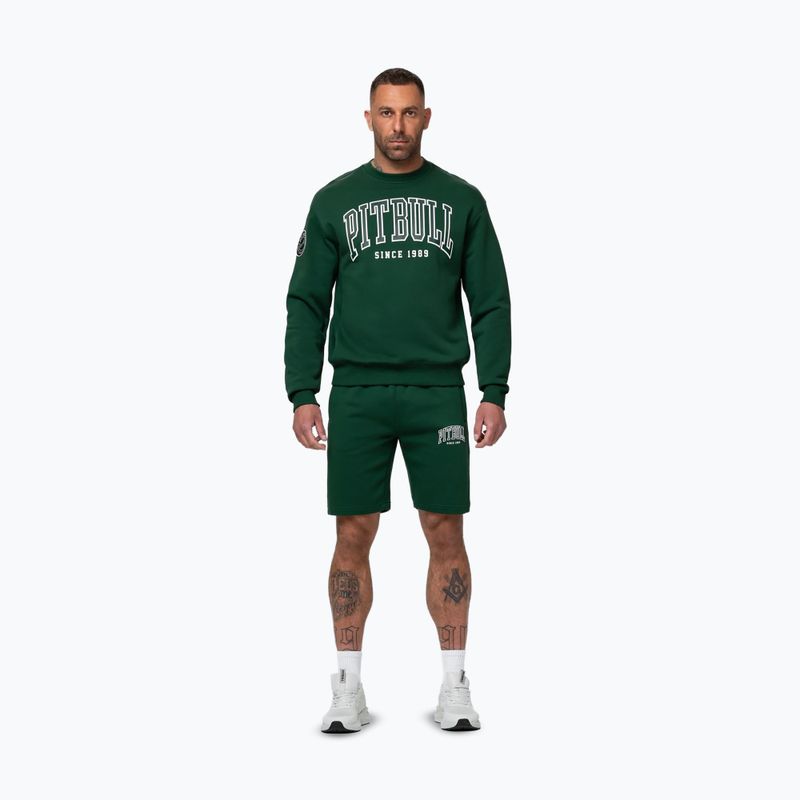 Men's sweatshirt Pitbull Badger Crewneck hunter/green 2
