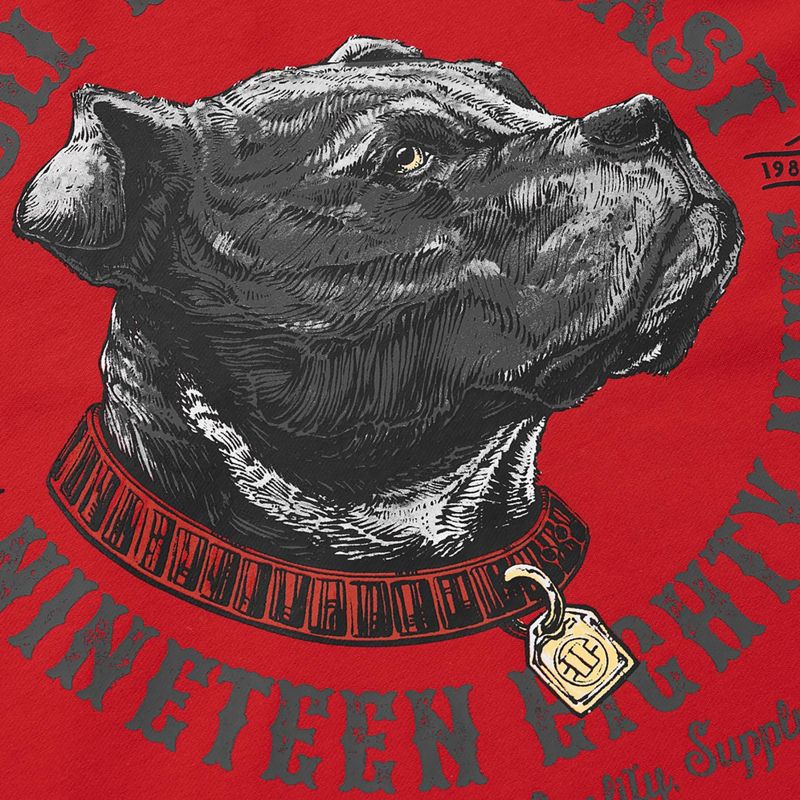Men's sweatshirt Pitbull Strenght & Respect Sweatshirt Hooded red 9