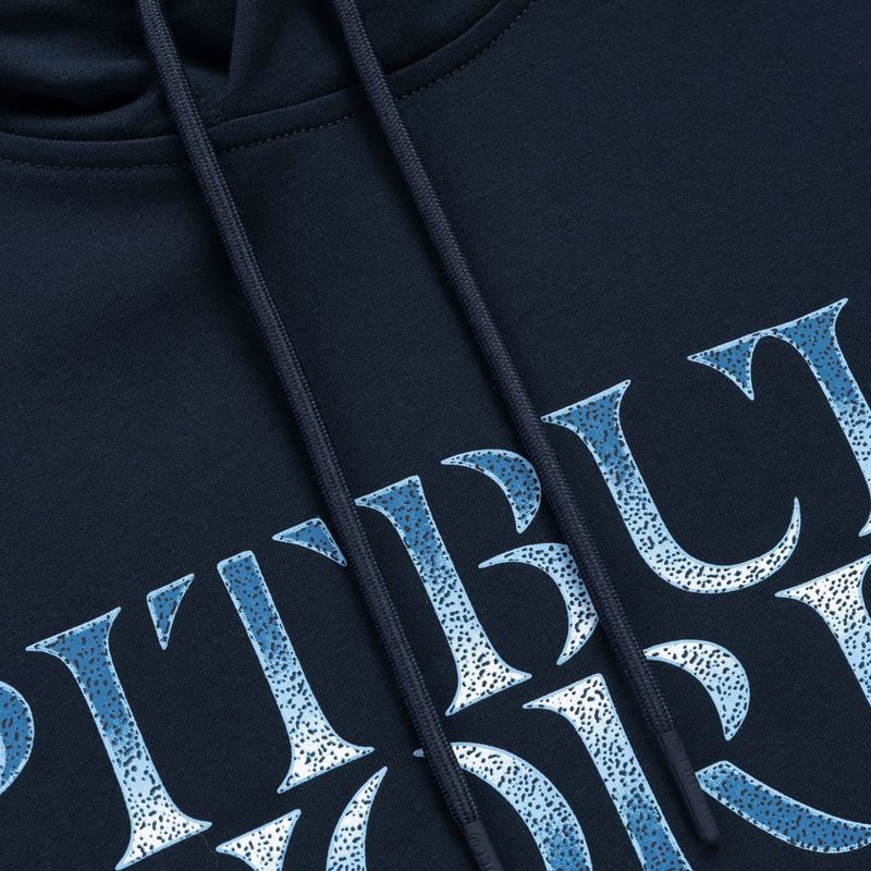 Men's sweatshirt Pitbull World Sweatshirt Hooded dark navy 8